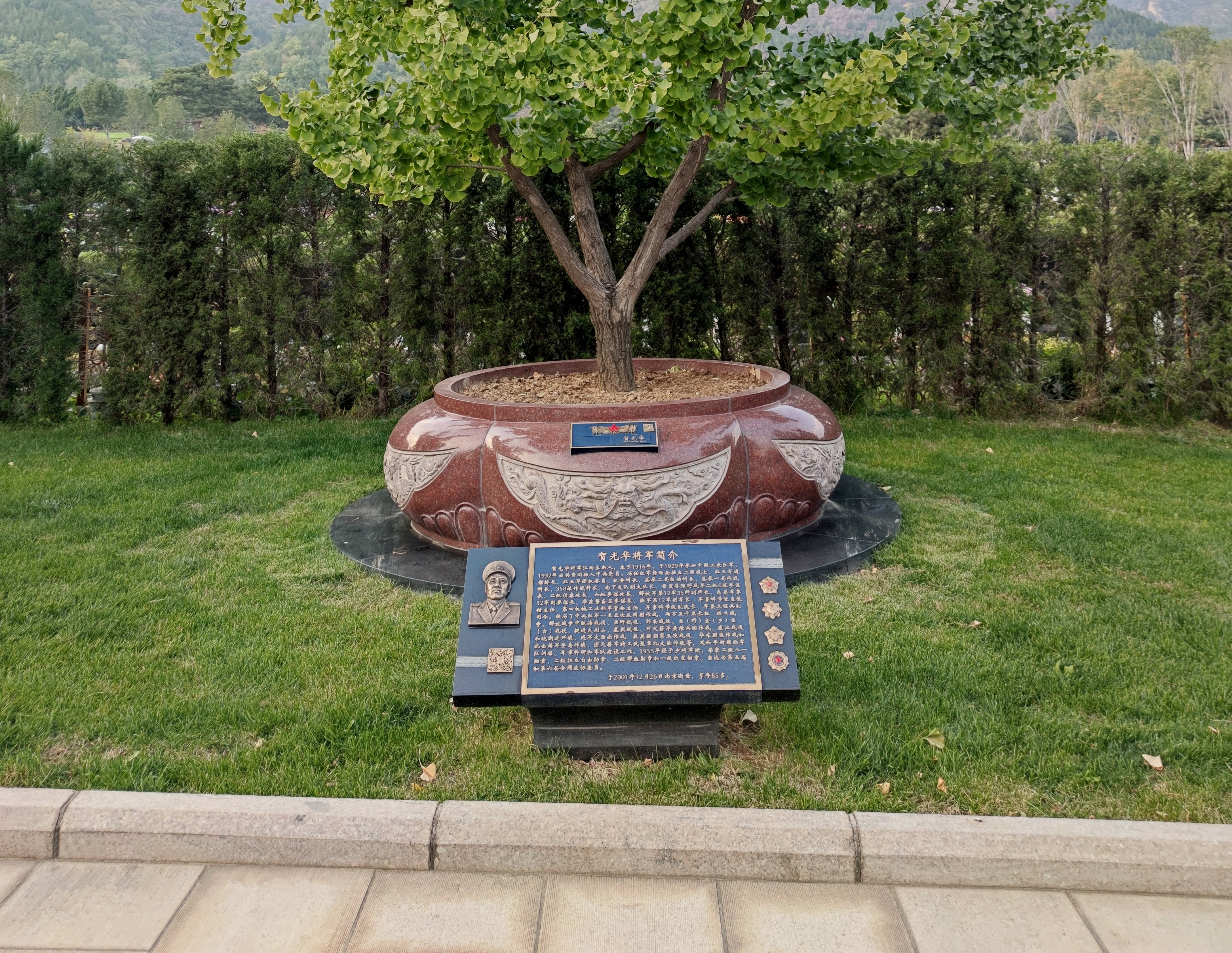 贺光华将军安息之地：九龙坛树葬