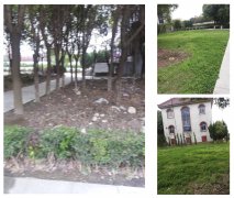 老墓园改造：城市中的绿色记忆与文化传承