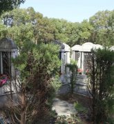 绿色生态葬：文明赓续的绿色选择