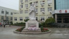 石雕匠心，镌刻医者风华