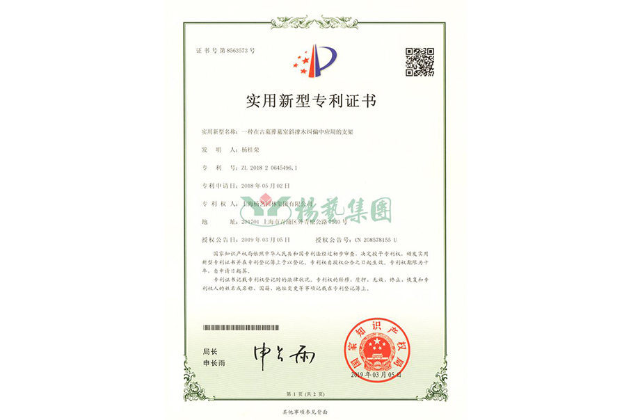 实用新型专利：一种在古墓葬墓室斜撑木纠偏中