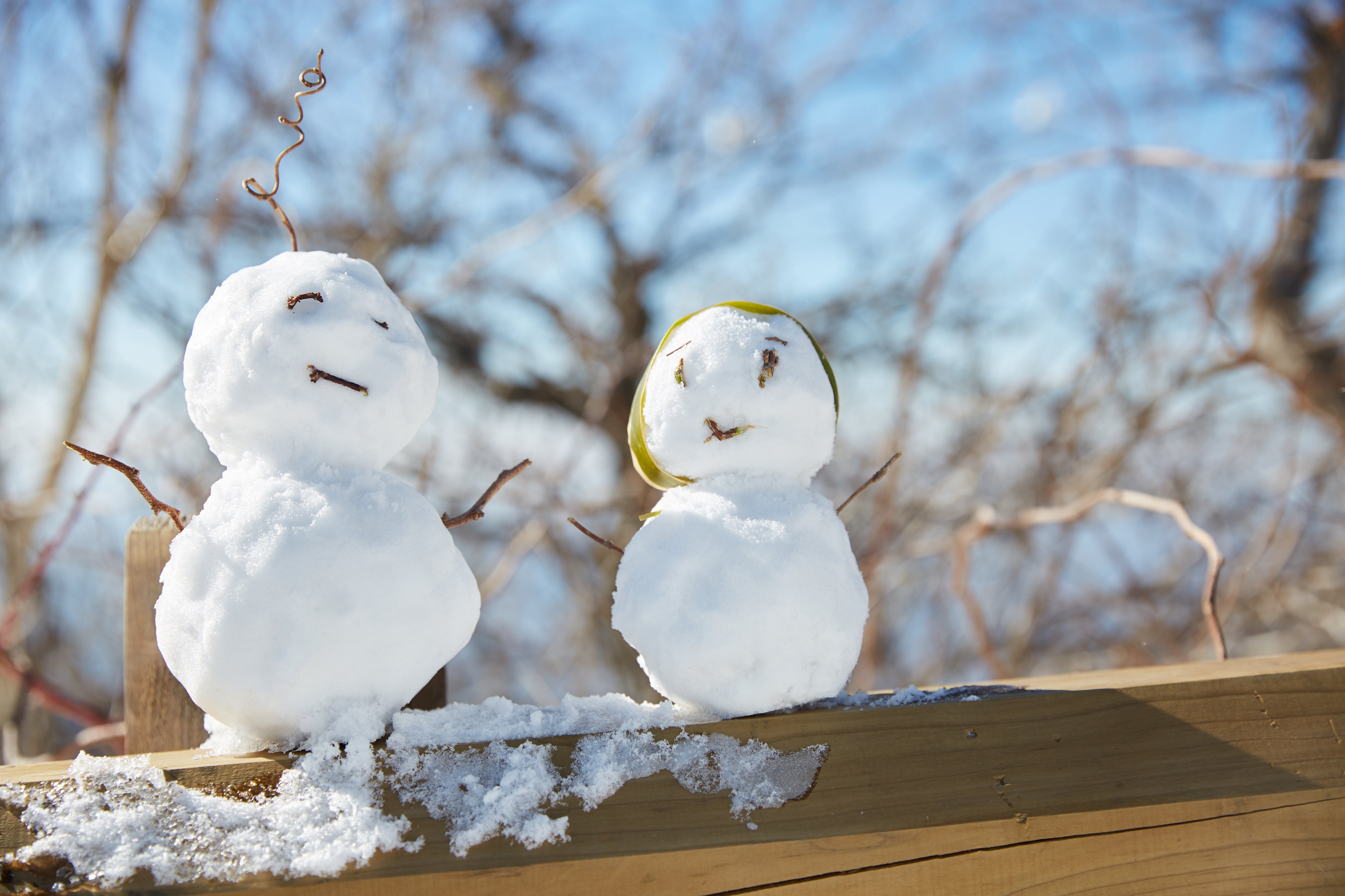冬至，暖“杨”相伴 | 欧宝人全力配合各墓园冬至落葬