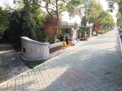 城市最后一平米：生态葬，是与自然的和解？还是无奈的选择？