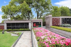 归于自然，泽被后世：解读现代生态葬及其创新趋势