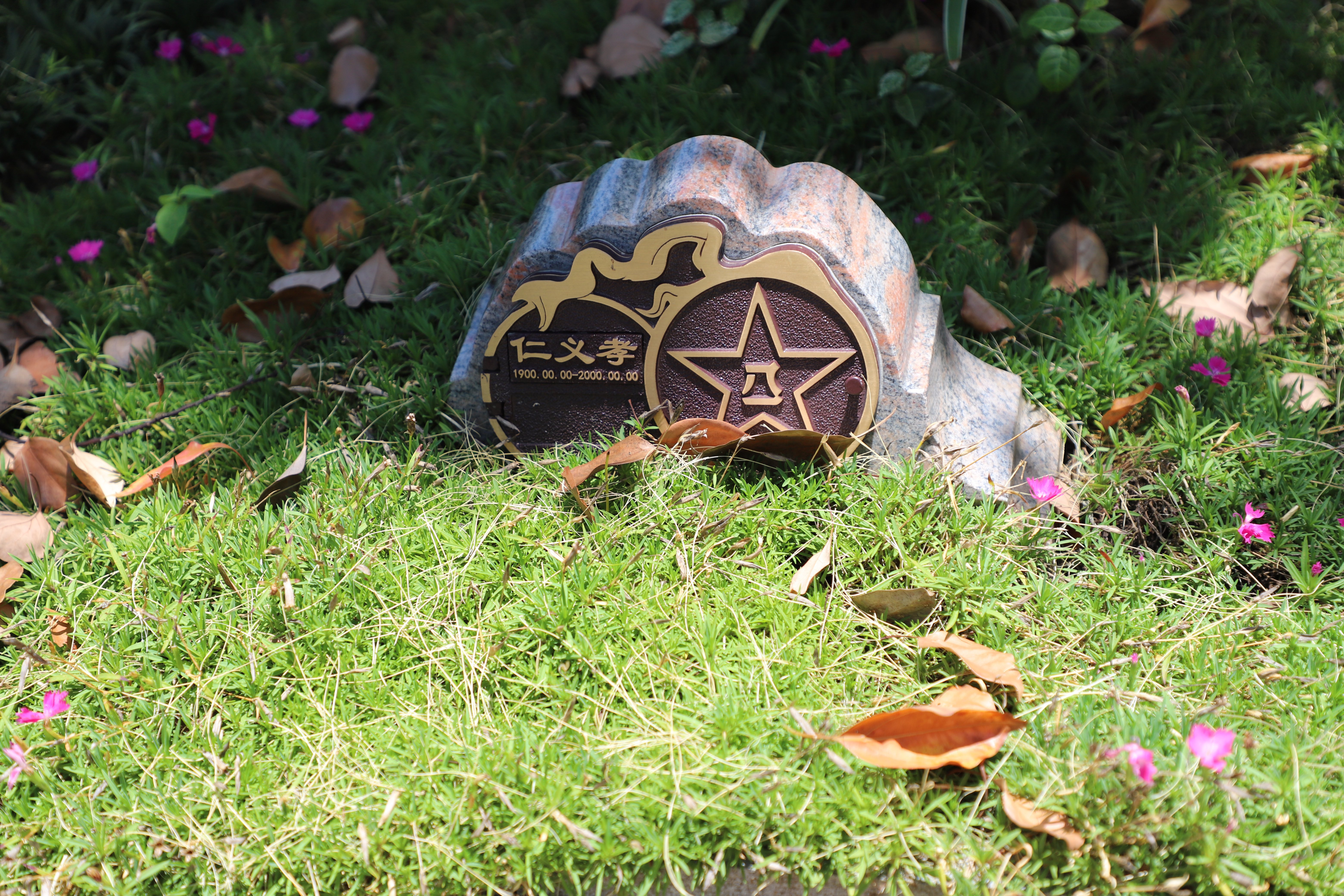 尘归尘，土归土：当生命终与自然相融