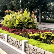 无机仿真石花箱：以永恒之名，塑未来之境